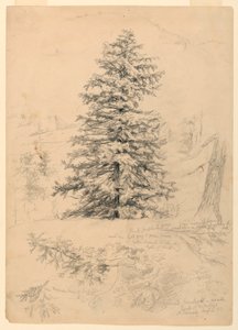 Piirros, Hemlockin tutkiminen, North Conway, New Hampshire, 6. elokuuta 1855. tekijältä Daniel Huntington