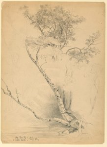 Old Elm Top ja White Birch, North Conway, New Hampshire tekijältä Daniel Huntington