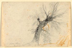 Willow Rhônen varrella, Geneve, Sveitsi tekijältä Daniel Huntington