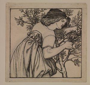 Kuningas Renén häämatka - Puutarhanhoito - Kaapin maalatun paneelin luonnos tekijältä Dante Gabriel Rossetti