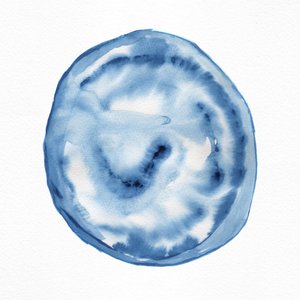 Indigo-pyörre tekijältä Danushka Abeygoda