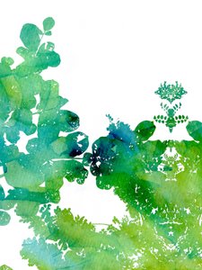  tekijältä Danushka Abeygoda