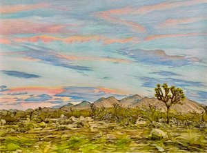 Joshua Tree, 2023 (lyijykynä paperille)