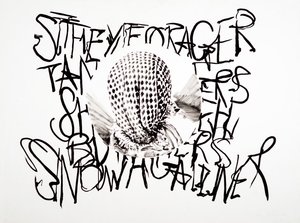Lansdcape, 2003 (tussi paperille) tekijältä Darren Coffield