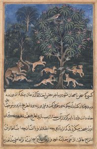 Sivu elokuvasta Tales of a Parrot Tuti-nama: Viides yö: Papukaijaäiti varoittaa..., c. 1560. tekijältä Daswanth