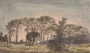 Maisema puiden kanssa