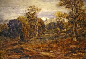 Barden Tower tekijältä David Cox