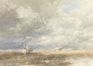 Menossa Hayfieldiin tekijältä David Cox