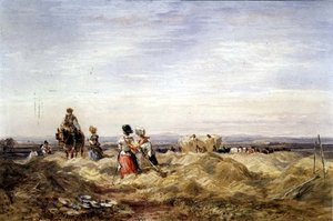 Heinäpellolla (akvarelli) tekijältä David Cox