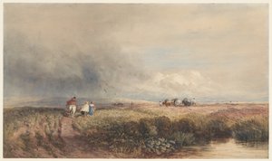  tekijältä David Cox