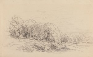 Maisema puiden kanssa tekijältä David Cox