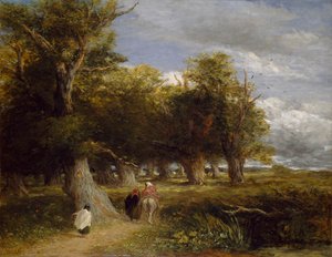 Metsän hameet, 1855 tekijältä David Cox