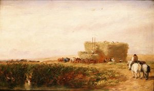 Hayfield tekijältä David Cox