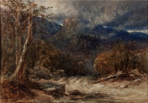 Vesien kokous tekijältä David Cox