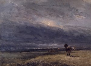 Yöjuna tekijältä David Cox