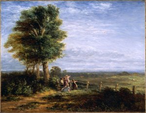 Skylark, 1849