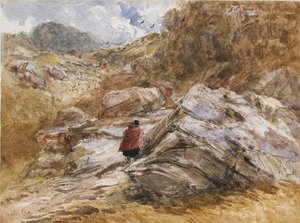 Vuoristosola Bettws-y-Coedissa, 1851 tekijältä David Cox the elder