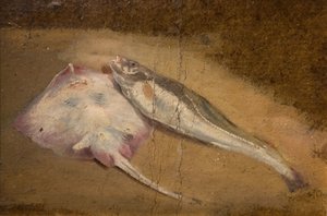 Kalatutkimus - Skate ja turska, 1842.