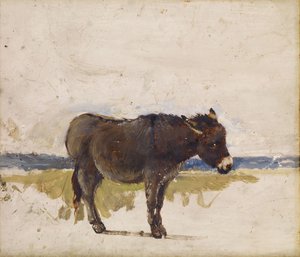 Tutkimus aasista, 1841-1843.