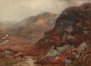 Highland Hills (öljy kankaalle)