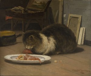 Kissa studiossa
