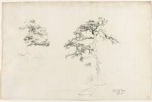 Pine, Lake George, 1871. tekijältä David Johnson