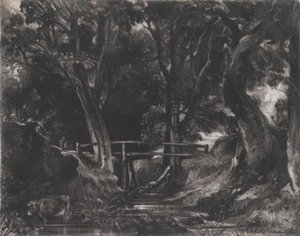 Dell, Helmingham Park, Suffolk, 1830. tekijältä David Lucas