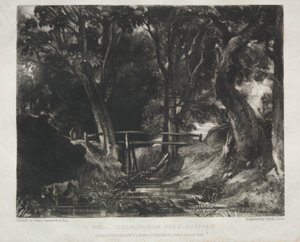 Erilaisia maisema-aiheita, tyypillisiä englantilaisille maisemille kuvista, jotka on maalannut John Constable, R.A.: Dell in the Woods of Helmingham Park, Suffolk tekijältä David Lucas