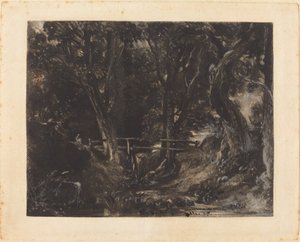 Dell Helmingham Parkissa, Suffolkissa