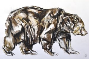 Ruskeakarhun kävely, 2012 (Pastel/Conte paperilla)