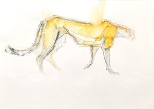 Cheetah, 2020 (Crayon paperille)
