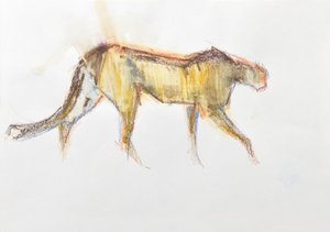Cheetah, 2020 (liitu ja akvarelli paperille)