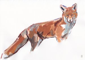 Red Fox, 2021 (guassi ja vesiväri/liitu paperille)