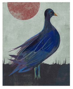 Pigeon Blues, 2023 (sekoitettu media)