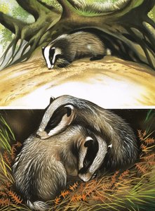 Herra ja rouva Badger kotona