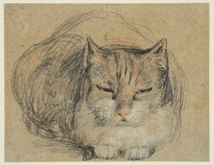 Kissa, tutkimus "The Cut Finger" (recto), n. 1809 (musta, punainen ja valkoinen liitu, mustavalkoinen liitu paperille) tekijältä David Wilkie