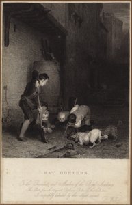 Rotan metsästäjät tekijältä David Wilkie