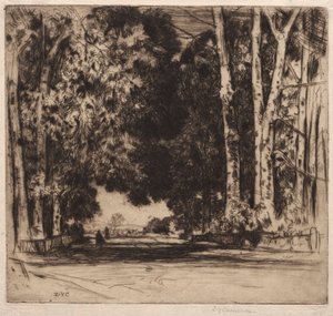 Avenue
