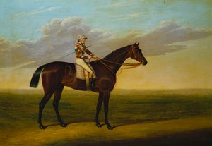 Mr Richard Wattin Bay Racehorse "Rockingham" Sam Darlingin kanssa kilparadalla
