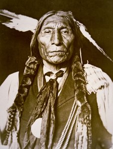 Wolf Robe (s.1841) 1909 (m/w kuva) tekijältä DeLancey W. Gill