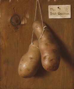 Irlantilainen kysymys, 1880-luku. tekijältä De Scott Evans