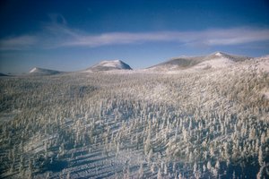 Siperia talvimaisemassa lumen peittämän suon ja metsien yllä

