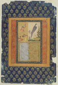 Lintututkimus ja kalligrafia, Golconda, Andhra Pradesh, 1570, (guassi, muste ja kulta paperille koristellulla reunuksella)