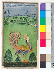 Myyttinen riikinkukko naisen päällä, n. 1750 (läpinäkymätön w/c ja kultaa paperilla)