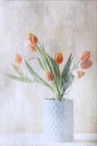  tekijältä Delphine Devos