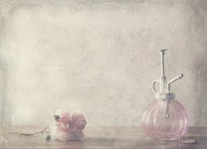 Vintage Pink Rose -hajuvesi tekijältä Delphine Devos