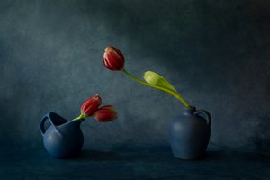 Tyylikäs tulppaanien asetelma