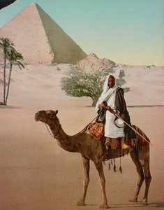 Beduiini kamelilla ja suurella pyramidilla, Kairo, Egypti