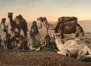 Kamelit pysähtyvät autiomaassa, Pyhä maa, n. 1890 (fotomekaaninen tuloste) tekijältä Detroit Photographic Co.