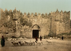Damaskuksen portti, Jerusalem, Pyhä maa, n. 1890–1900 (valokuvatulostus)